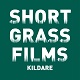 Kildare Short Grass Films commission and bursary awards 2023 announced